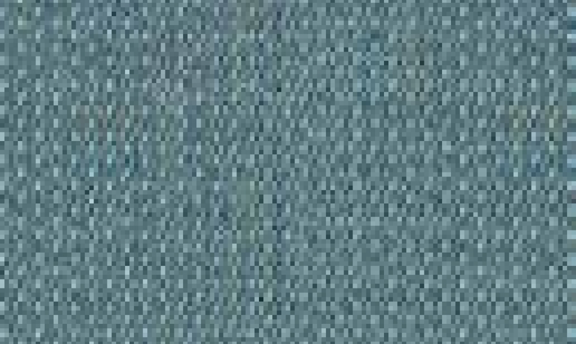 Dickson Orchestra Polar : toile acrylique pour store extérieur - Nuancier