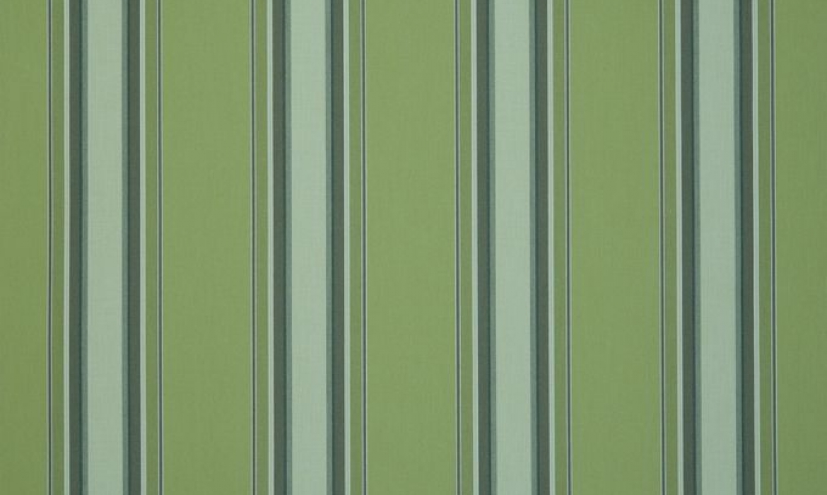 Dickson Orchestra Polar : toile acrylique pour store extérieur - Nuancier
