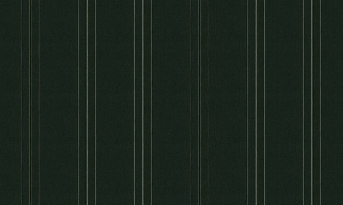 Dickson Orchestra Polar : toile acrylique pour store extérieur - Nuancier