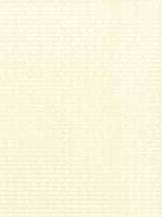 Toile Blanc Cassé 96-1103