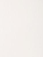 Blanc RAL 9001