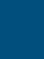 Bleu RAL 5010