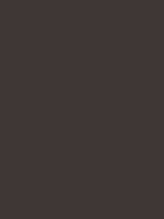 Brun Gris RAL 8019