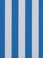 Polar BS Bleu - Blanc ORC 8910 120