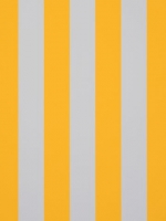 Solar BS Jaune - Blanc ORC 8553 120