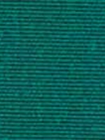 Polar Emeraude ORC 7297 120