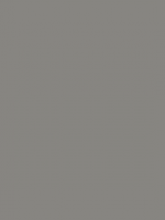 Gris 9007