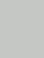 Gris RAL 7035