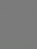 Gris RAL 7037