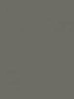 Gris Quartz RAL 7039