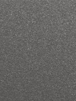 Gris RAL 2900
