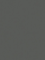 Gris RAL 2900