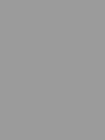 Gris RAL 7004