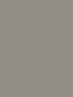 Gris RAL 7030