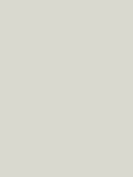 Gris RAL 7035