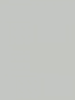 Gris RAL 7035