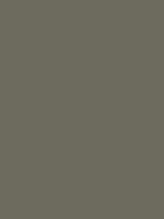 Gris RAL 7039