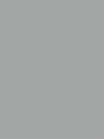 Gris RAL 9006
