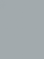 Gris RAL 9006