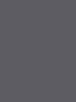 Gris RAL 2900