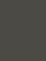 Gris RAL 7022