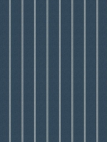 Polar Horizon Indigo ORC D543 120