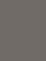 Marron bronze RAL 1247