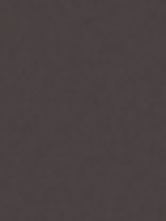Marron RAL 8019