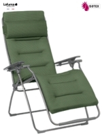 Olive 9548