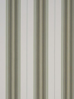 Polar Rome Vert ORC D314 120
