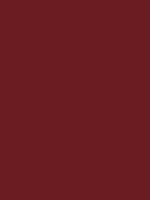 Rouge RAL 3004