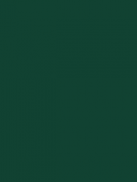 Vert RAL 6005