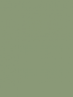 Vert RAL 6021