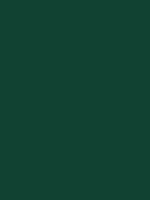 Vert RAL 6005