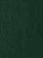 Vert RAL 6009