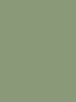 Vert RAL 6021