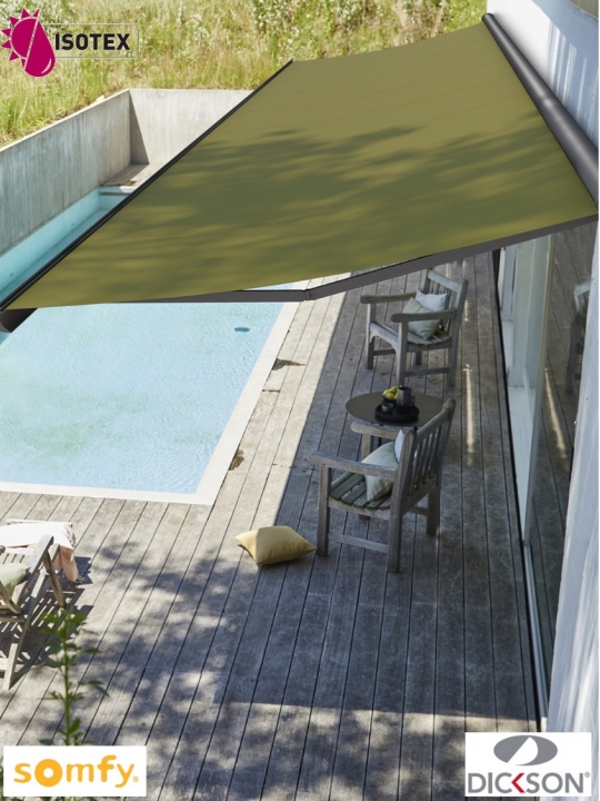 Store coffre Luxia motorisé radio io Somfy toile acrylique Dickson